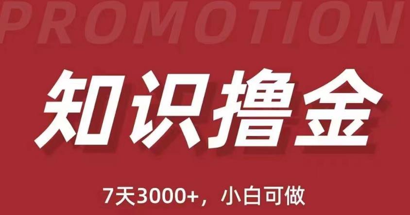 抖音知识撸金项目：简单粗暴日入1000+执行力强当天见收益(教程+资料)-第一精品资源库