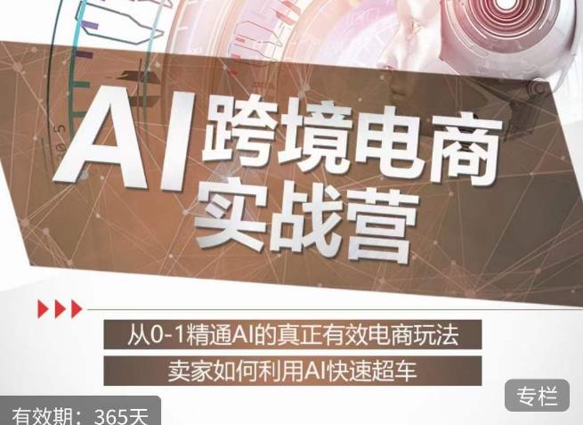 白龙老师·AI跨境电商实战营：从0-1精通Al的真正有效电商玩法，卖家如何利用Al快速超车-第一精品资源库