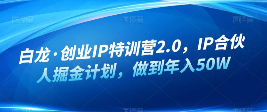 白龙·创业IP特训营2.0，IP合伙人掘金计划，做到年入50W-第一精品资源库
