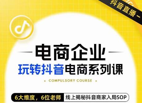 玺承·电商企业玩转抖音电商系列课，6大维度，6位老师，线上揭秘抖音商家入局SOP-第一精品资源库