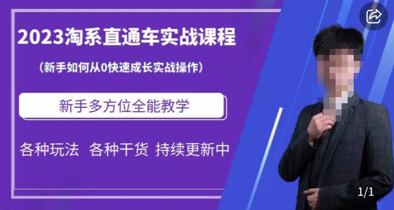 2023淘系直通车保姆式运营讲解，新手如何从0快速成长实战操作，新手多方位全能教学-第一精品资源库