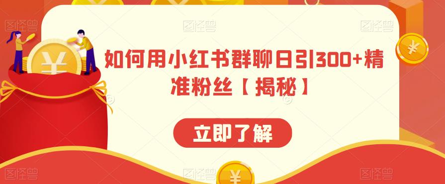 如何用小红书群聊日引300+精准粉丝【揭秘】-第一精品资源库