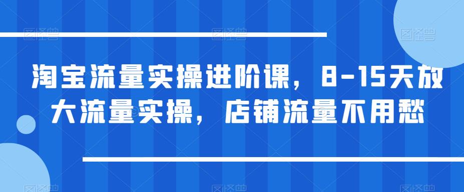 淘宝流量实操进阶课，8-15天放大流量实操，店铺流量不用愁-第一精品资源库