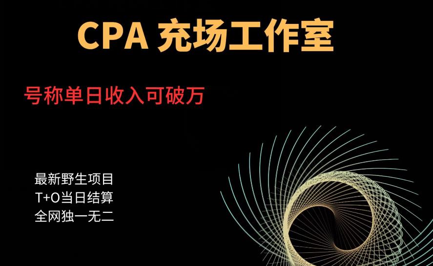 cpa充场工作室，号称单日收入10000+（揭秘）-第一精品资源库