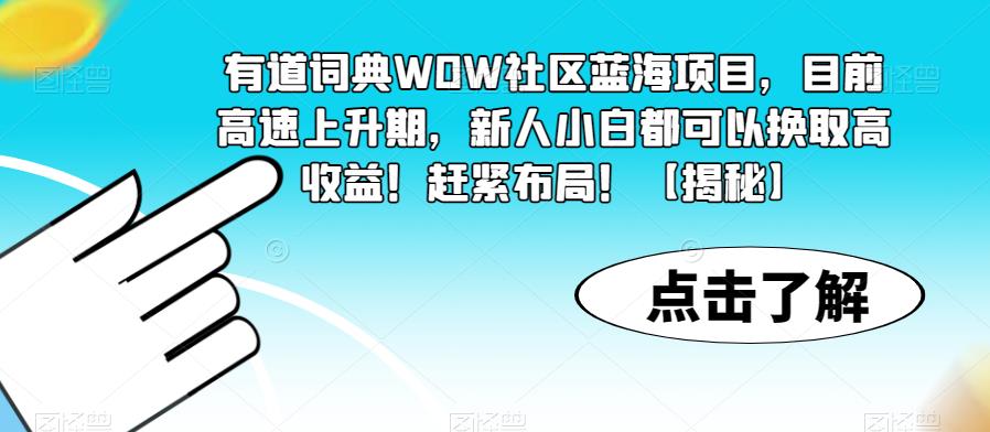 有道词典WOW社区蓝海项目，目前高速上升期，新人小白都可以换取高收益！赶紧布局！【揭秘】-第一精品资源库