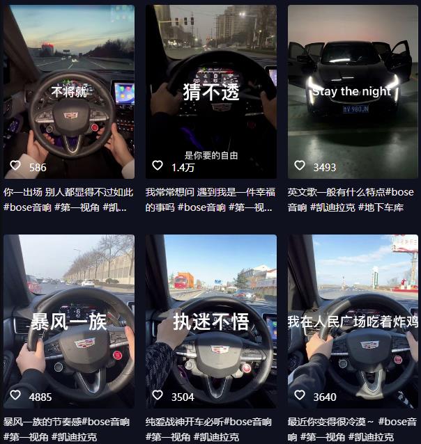抖音开车视频项目，0基础操作，每天五分钟，月入1W+【揭秘】-第一精品资源库