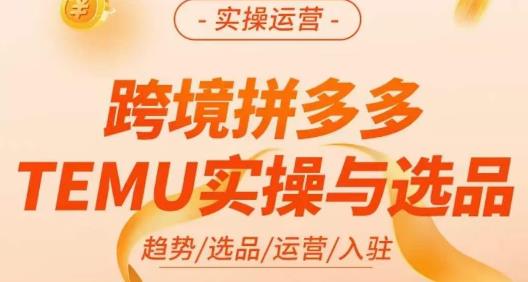 伍跃·跨境拼多多TEMU实操与选品，​趋势/选品/运营/入住（27节完整）-第一精品资源库