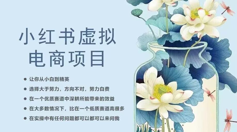 小红书虚拟电商从0到1，让你从小白到精英（20节实操课程）-第一精品资源库