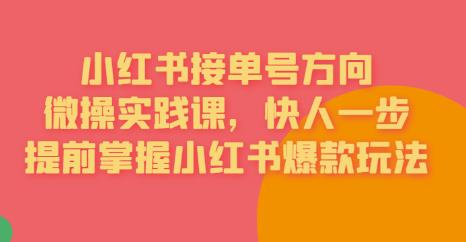 接单号方向·小红书微操实践课，快人一步，提前掌握小红书爆款玩法-第一精品资源库