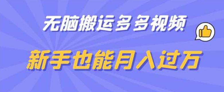 无脑搬运多多视频，新手也能月入过万【揭秘】-第一精品资源库