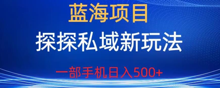 蓝海项目，探探私域新玩法，一部手机日入500+很轻松【揭秘】-第一精品资源库