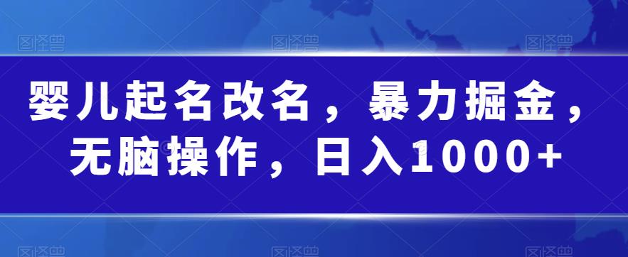 婴儿起名改名，暴力掘金，无脑操作，日入1000+【揭秘】-第一精品资源库