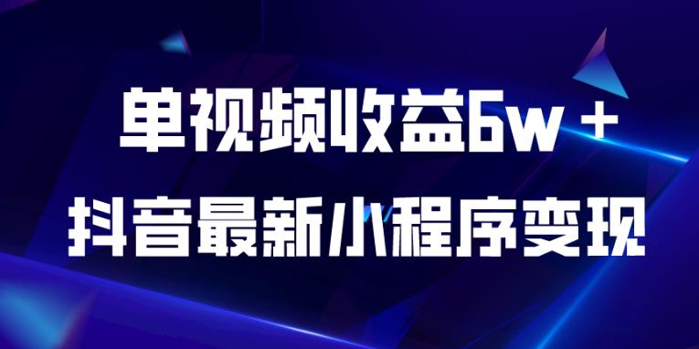 抖音最新小程序变现项目，单视频收益6w＋，小白可做【揭秘】-第一精品资源库