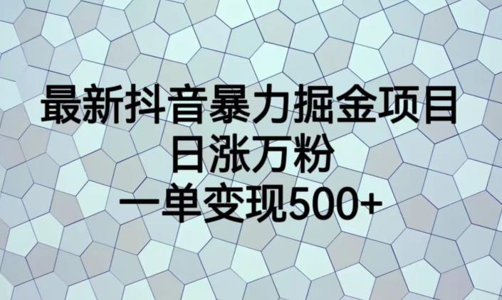 最新抖音暴力掘金项目，日涨万粉，一单变现500+【揭秘】-第一精品资源库