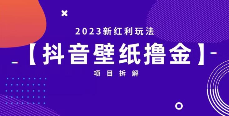 抖音壁纸小程序创作者撸金项目，2023新红利玩法【项目拆解】-第一精品资源库
