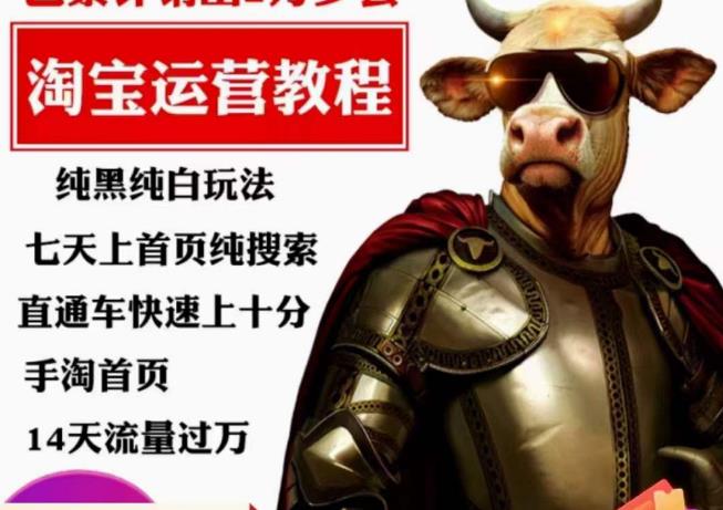 猫老师·淘系算法逆向解密，​纯黑纯白玩法，七天上首页纯搜索，手淘首页14天流量过万-第一精品资源库