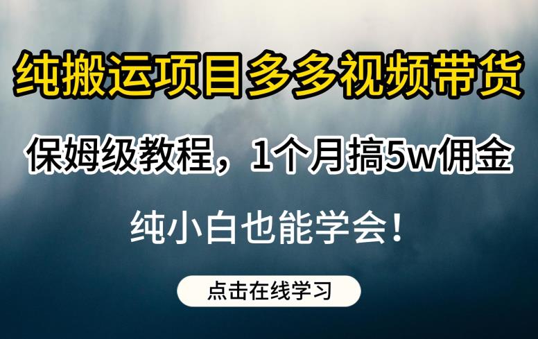纯搬运项目多多视频带货保姆级教程，1个月搞5w佣金，纯小白也能学会【揭秘】-第一精品资源库