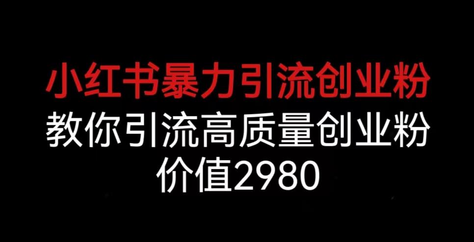 小红书暴力引流创业粉，教你引流高质量创业粉，价值2980【揭秘】-第一精品资源库