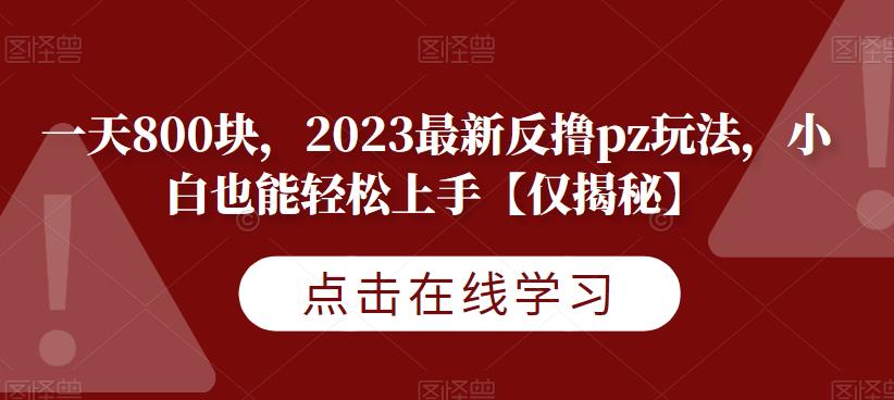 一天800块，2023最新反撸pz玩法，小白也能轻松上手【仅揭秘】-第一精品资源库