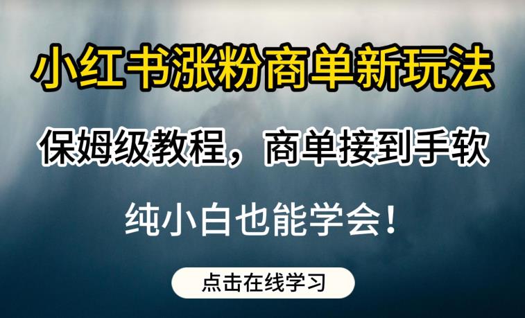 小红书涨粉商单新玩法，保姆级教程，商单接到手软，纯小白也能学会【揭秘】-第一精品资源库