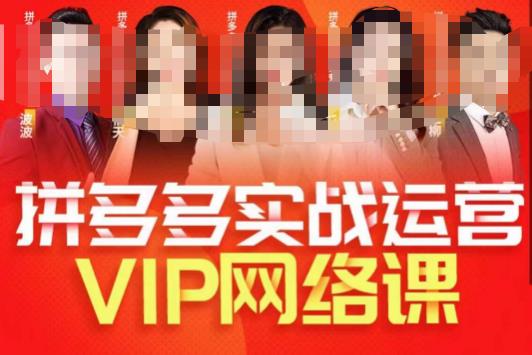 推易拼多多VIP全套直播课程，拼多多店铺实操玩法+实战玩法选款内功+直通车高阶等-第一精品资源库