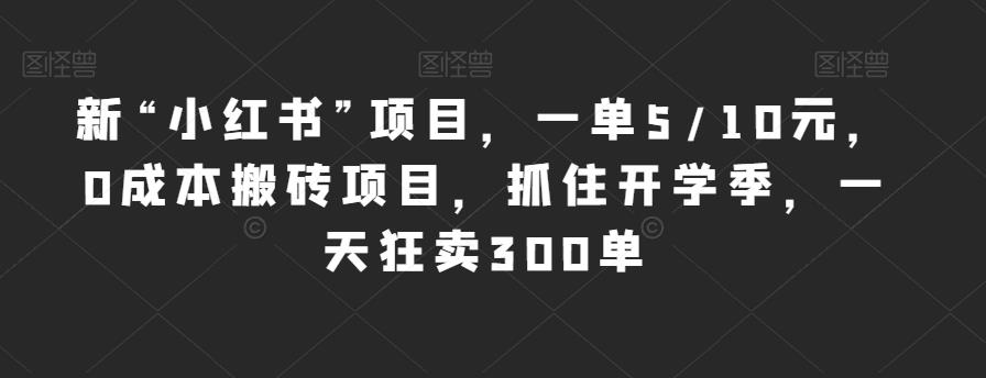 新“小红书”项目，一单5/10元，0成本搬砖项目，抓住开学季，一天狂卖300单【揭秘】-第一精品资源库