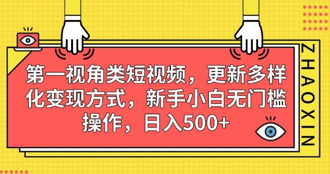 第一视角类短视频，更新多样化变现方式，新手小白无门槛操作，日入500+【揭秘】-第一精品资源库