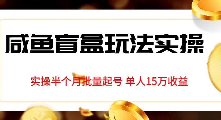 独家首发咸鱼盲盒玩法实操，半个月批量起号单人15万收益【揭秘】-第一精品资源库