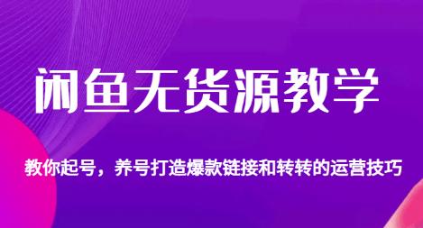 闲鱼无货源教学，教你起号，养号打造爆款链接以及转转的运营技巧-第一精品资源库