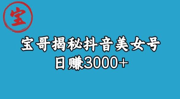 宝哥揭秘抖音美女号玩法，日赚3000+【揭秘】-第一精品资源库