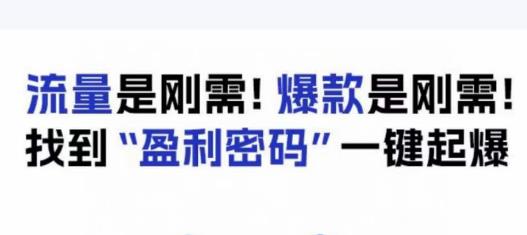 电商盈利精品课：6大盈利密码让产品更好卖，流量是刚需！爆款是刚需！找到”盈利密码”一键起爆-第一精品资源库