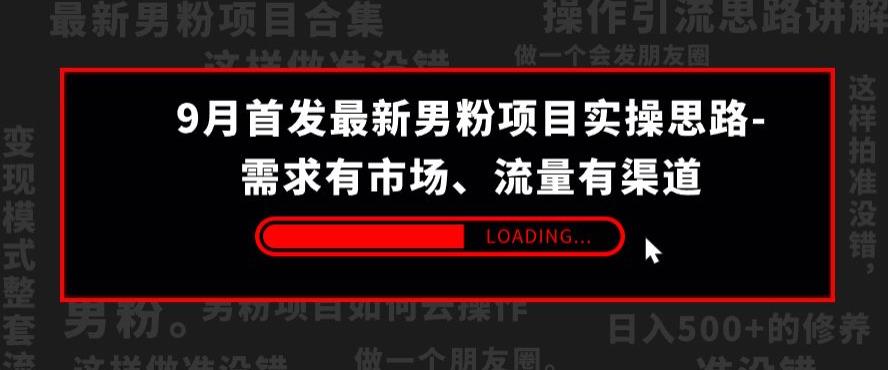 9月首发最新男粉项目实操思路-需求有市场，流量有渠道【揭秘】-第一精品资源库