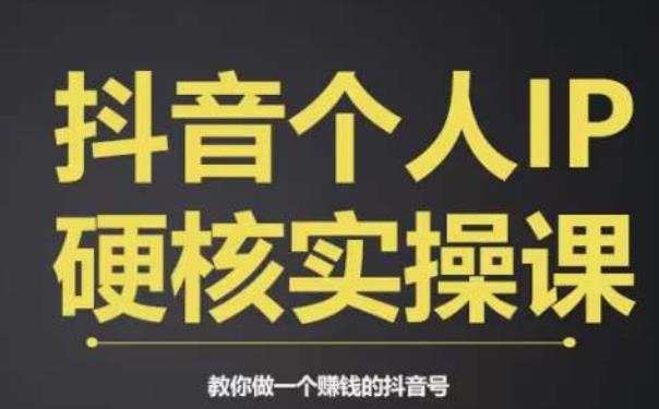 个人IP创富系统实战课，商业定位，流量打造，短视频变现，教你做个赚钱的抖音号-第一精品资源库