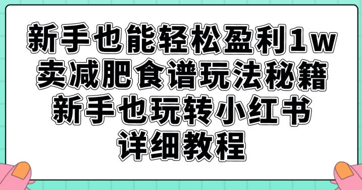 新手也能轻松盈利1w，卖减肥食谱玩法秘籍，新手也玩转小红书详细教程【揭秘】-第一精品资源库