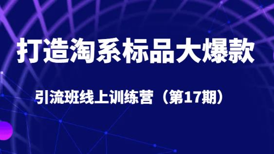 打造淘系标品大爆款引流班线上训练营（第17期）5天直播授课-第一精品资源库