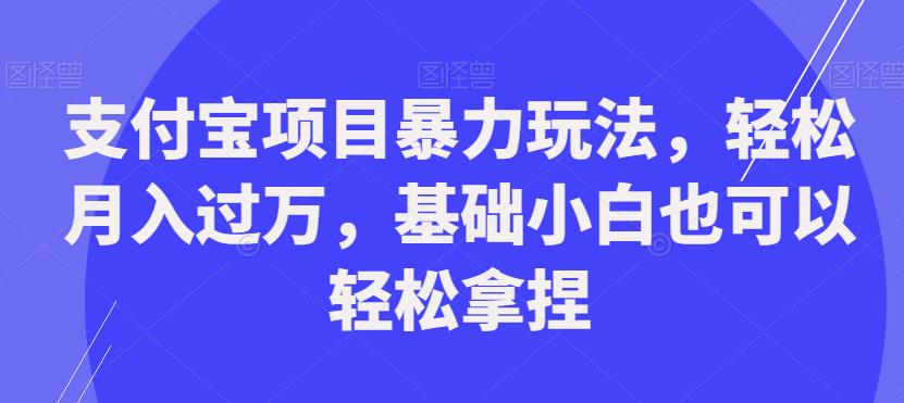 支付宝项目暴力玩法，轻松月入过万，基础小白也可以轻松拿捏【揭秘】-第一精品资源库