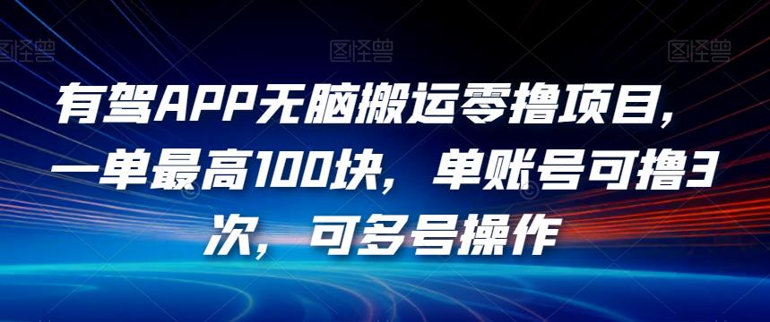 有驾APP无脑搬运零撸项目，一单最高100块，单账号可撸3次，可多号操作【揭秘】-第一精品资源库
