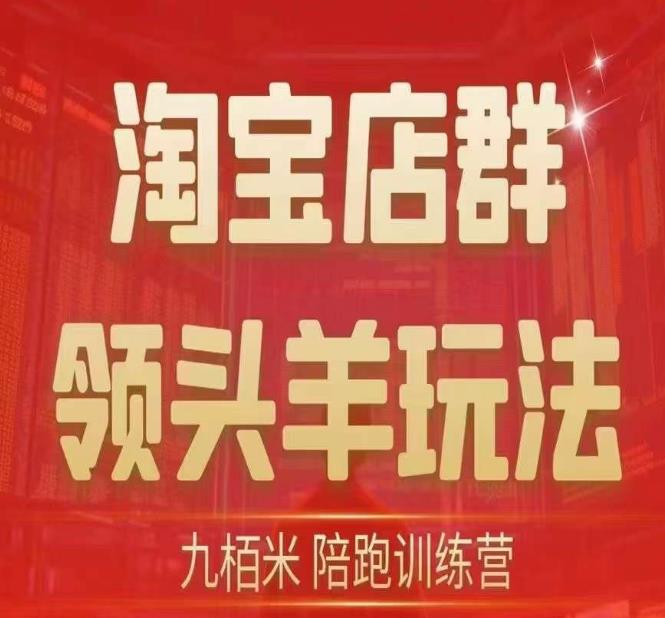 九栢米-淘宝店群领头羊玩法，教你整个淘宝店群领头羊玩法以及精细化/终极蓝海/尾销等内容-第一精品资源库