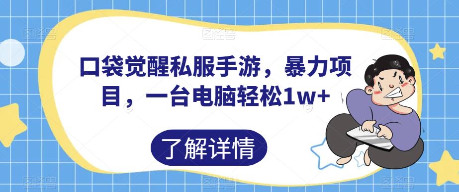 口袋觉醒私服手游，暴力项目，一台电脑轻松1w+【揭秘】-第一精品资源库