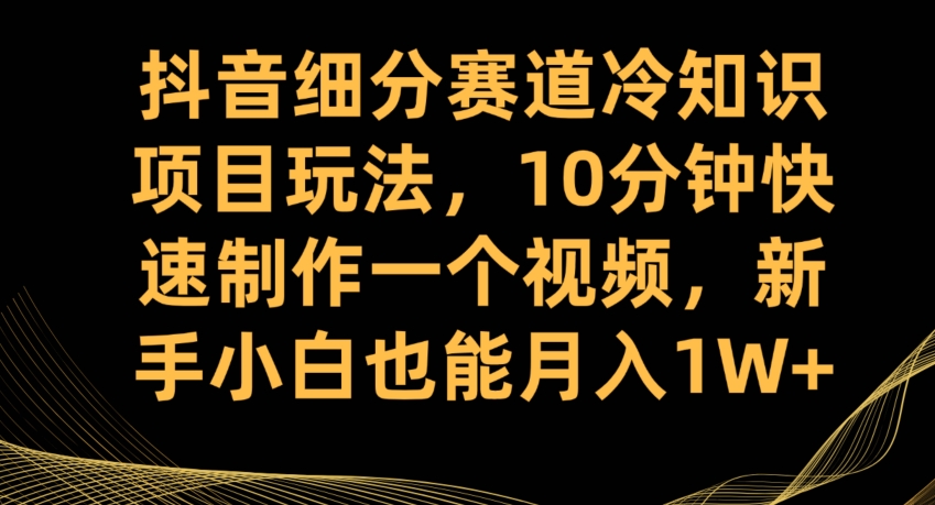 抖音细分赛道冷知识项目玩法，10分钟快速制作一个视频，新手小白也能月入1W+【揭秘】-第一精品资源库