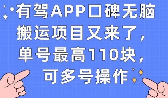 有驾APP口碑无脑搬运项目又来了，单号最高110块，可多号操作-第一精品资源库