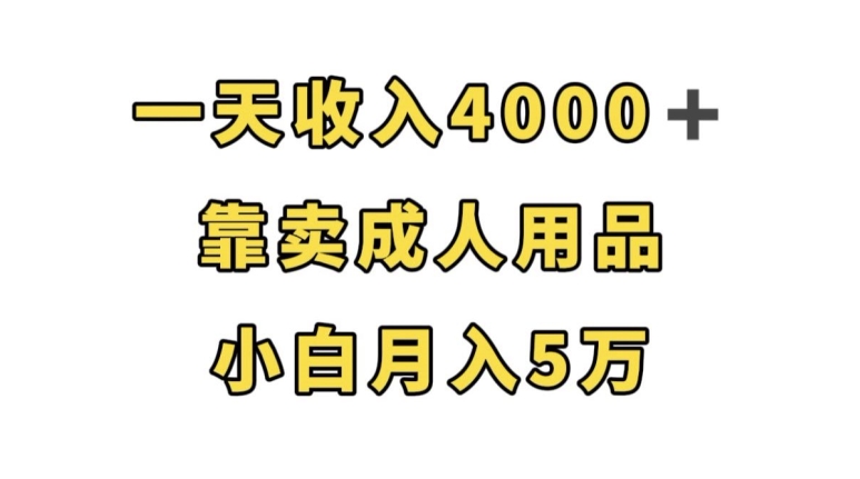 一天收入4000+，靠卖成人用品，小白轻松月入5万【揭秘】-第一精品资源库