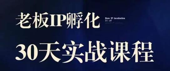 诸葛·2023老板IP实战课，实体同城引流获客，IP孵化必听-第一精品资源库