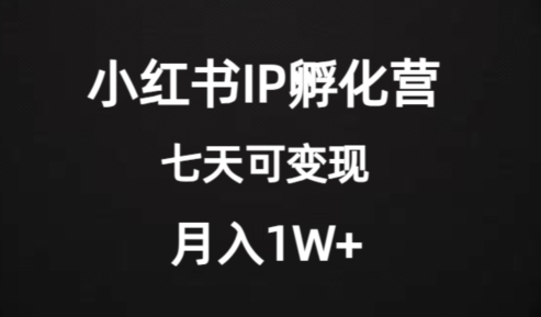 价值2000+的小红书IP孵化营项目，超级大蓝海，七天即可开始变现，稳定月入1W+-第一精品资源库