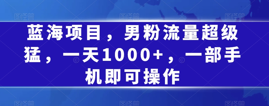 蓝海项目，男粉流量超级猛，一天1000+，一部手机即可操作【揭秘】-第一精品资源库