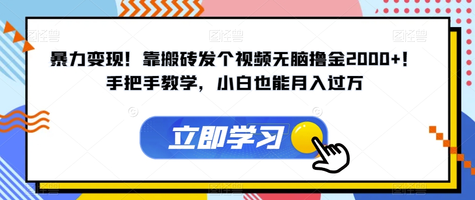 暴力变现！靠搬砖发个视频无脑撸金2000+！手把手教学，小白也能月入过万【揭秘】-第一精品资源库