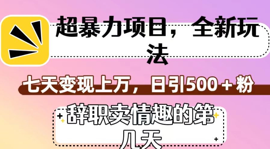超暴利项目，全新玩法（辞职卖情趣的第几天），七天变现上万，日引500+粉【揭秘】-第一精品资源库