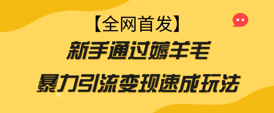 【全网首发】新手通过薅羊毛暴力引流变现速成玩法-第一精品资源库