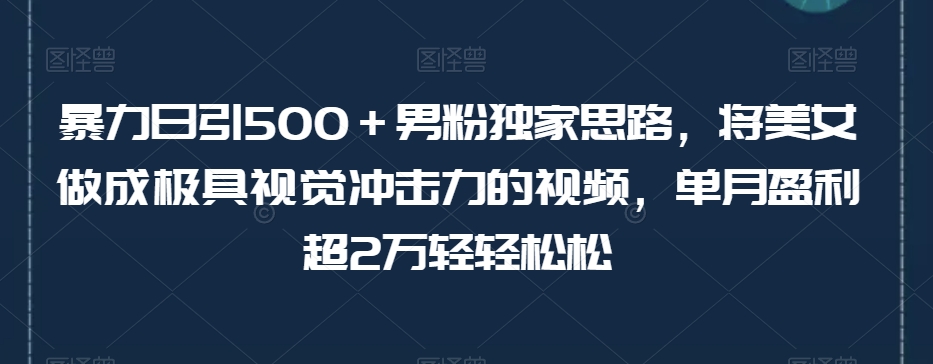 暴力日引500＋男粉独家思路，将美女做成极具视觉冲击力的视频，单月盈利超2万轻轻松松-第一精品资源库
