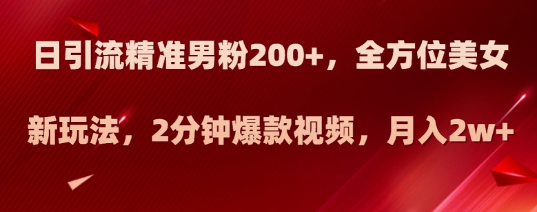 日引流精准男粉200+，全方位美女新玩法，2分钟爆款视频，月入2w+【揭秘】-第一精品资源库